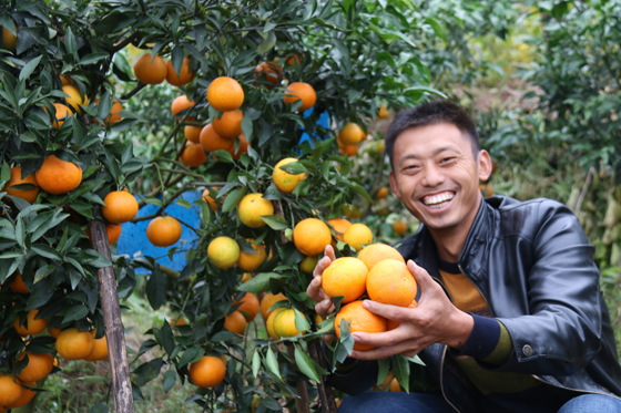 廣柑豐收了，農(nóng)民樂開懷.JPG