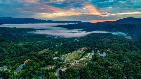 2 碧峰峽鎮(zhèn)入圍“全國最美森林小鎮(zhèn)”.jpg
