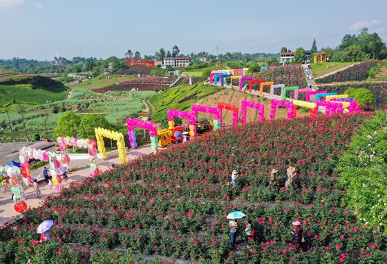 畫里鄉(xiāng)村 玫瑰有約[2].JPG