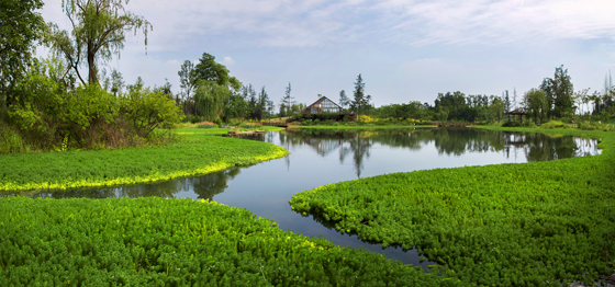 五星村濕地風(fēng)光1.jpg
