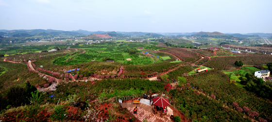 四川金堂縣廣興鎮(zhèn)櫻花園.JPG