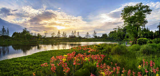 成都崇州市五星村融入城市公園.jpg