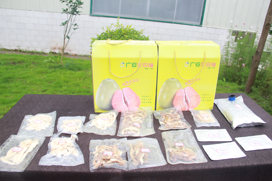 廣安柚子深加工系列產(chǎn)品  .JPG