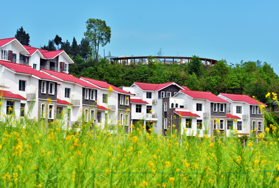 巴中農(nóng)商銀行支持建設(shè)的恩陽區(qū)高店子村農(nóng)民新居  夏雨 攝.jpg