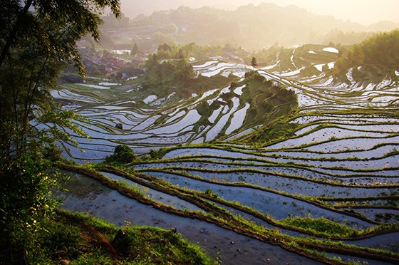 浙江云和縣萬畝梯田景觀，每年吸引大量旅客.jpg