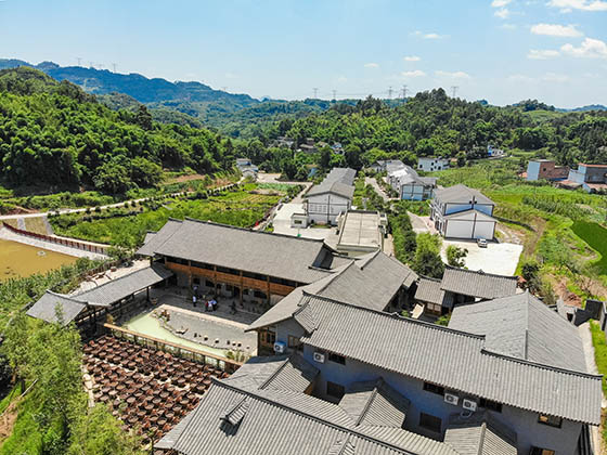 先市鎮(zhèn)金鉤村以釀造產(chǎn)業(yè)為主導(dǎo)，田園風(fēng)光、作坊村落和釀造體驗為載體的特色鄉(xiāng)村觀光旅游項目正在打造.jpg