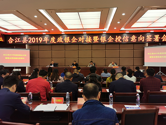 合江農(nóng)商銀行副行長李兵在合江縣2019年度政銀企對接暨銀企授信意向簽署會上發(fā)言.jpg