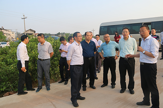 4 沈光明在基層調(diào)研.JPG