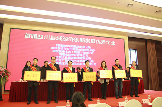 10表彰縣域經(jīng)濟(jì)創(chuàng)新發(fā)展優(yōu)秀企業(yè).JPG
