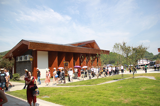 四川西充縣發(fā)展有機(jī)生態(tài)經(jīng)濟(jì)，農(nóng)村景觀變成旅游景點(diǎn)  周淼葭 攝.JPG