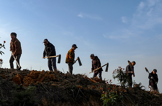 疫情過后，四川省華鎣市農(nóng)民忙著春耕生產(chǎn)。 邱海鷹 劉南賢 攝.JPG