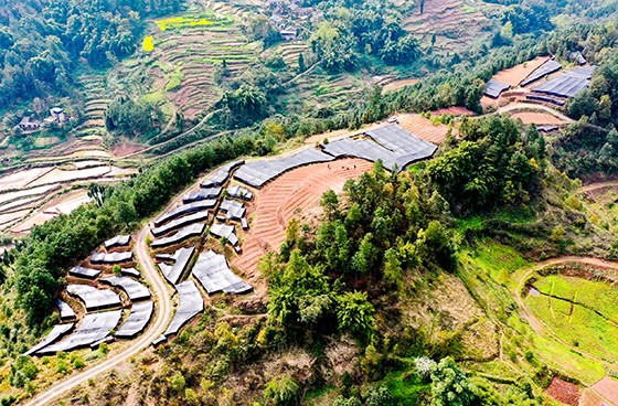 西部脫貧攻堅(jiān)，全力奔向小康。圖為四川省華鎣市農(nóng)村一景   邱海鷹  劉南賢  攝.JPG
