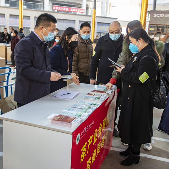 農(nóng)商銀行員工向茶農(nóng)宣傳介紹金融產(chǎn)品.png