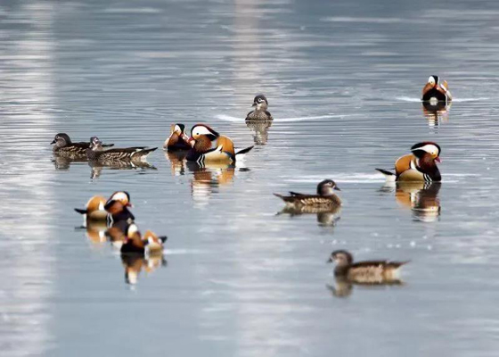 1586421095131611.jpg 微信圖片_20200409085850.jpg