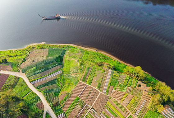 1588773815722250.jpg 川東農(nóng)田俯瞰 邱海鷹 攝.JPG