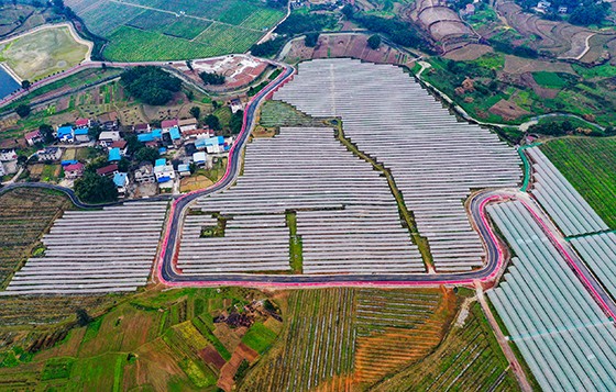 四川山區(qū)農(nóng)田俯瞰  邱海鷹 攝.JPG