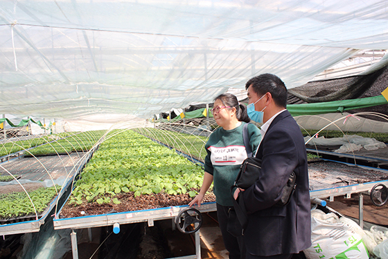 客戶經(jīng)理在農(nóng)戶的蔬菜育苗基地調(diào)研.JPG