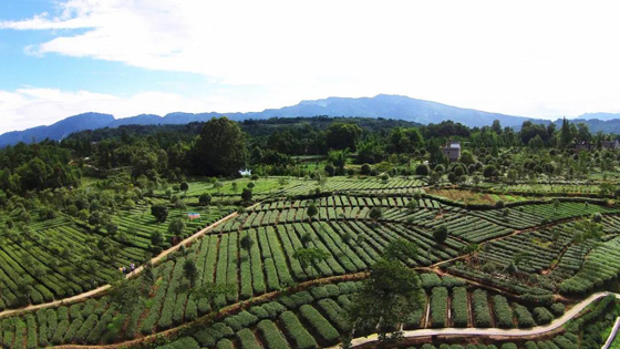 1591238183229501.jpg 微信圖片_20200603084140.jpg