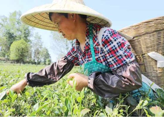 1591238196385849.jpg 微信圖片_20200603084147.jpg