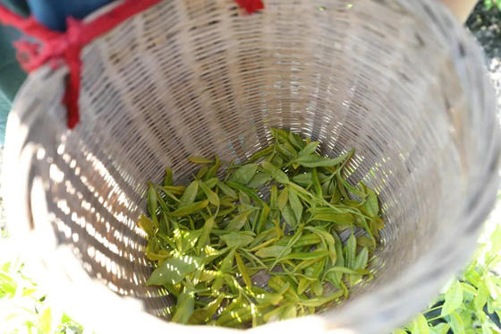 1591238211254042.jpg 微信圖片_20200603084149.jpg