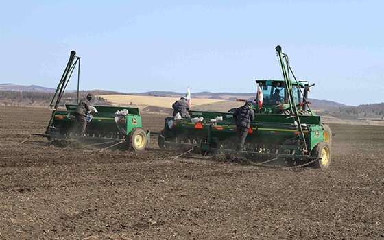 黑龍江北大荒，國家隊播種小麥，壓倉石穩(wěn)定飯碗  （資料圖）.jpg