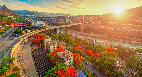 6 攀枝花炳草崗大橋.jpg