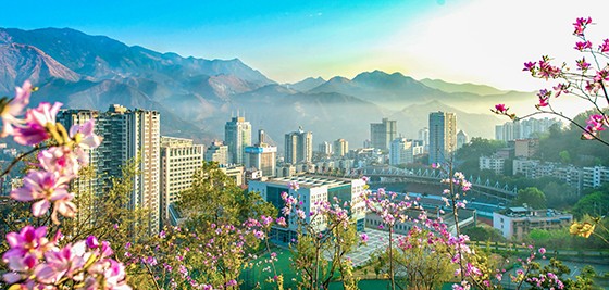 1 攀枝花炳草崗.jpg