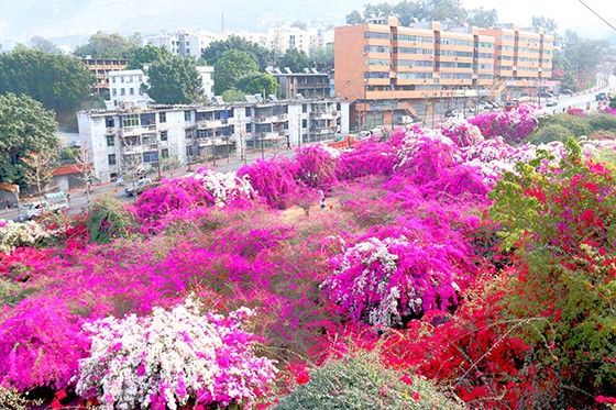 6 河門(mén)口公園.jpg