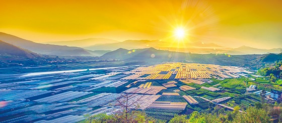 米易縣撒蓮鎮(zhèn)安全村現(xiàn)代農(nóng)業(yè)基地  王東 攝.jpg