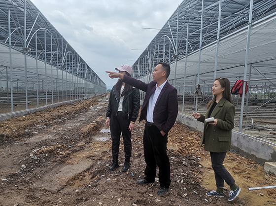川菜基地公司總經(jīng)理梁徐（中）向記者介紹智能化育苗大棚建設情況.jpg