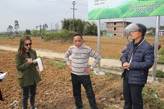 7 岳池茍角鎮(zhèn)倒碑村村委主任何直文（中）向記者介紹村民收益情況.JPG