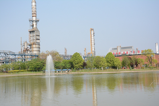 化工園區(qū)內(nèi)優(yōu)良的生態(tài)環(huán)境  車文斌 攝.JPG