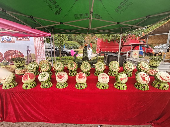 6 沿灘區(qū)西瓜藝術(shù)場景.jpg