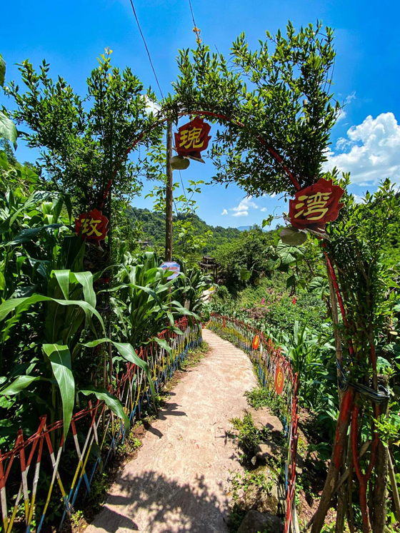 1594278007133757.jpg 微信圖片_20200709093414.jpg