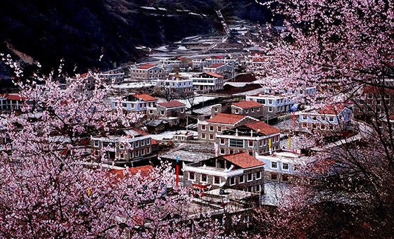 災(zāi)后重建的上孟鄉(xiāng)日波村藏家新居  沈祥軍 攝.jpg