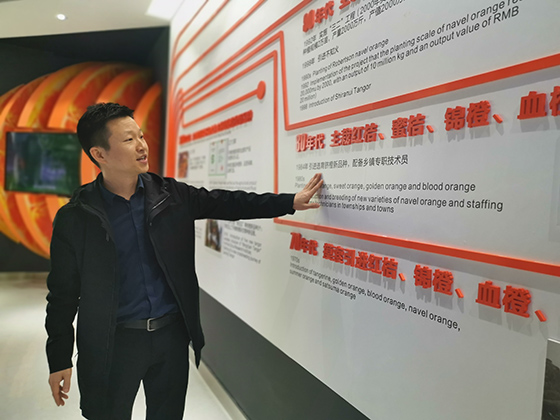 四川省丹橙現(xiàn)代果業(yè)有限公司副總經(jīng)理黃翔介紹桔橙產(chǎn)業(yè)發(fā)展情況.jpg