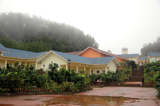 1598429724103655.jpg IMG_8617.JPG