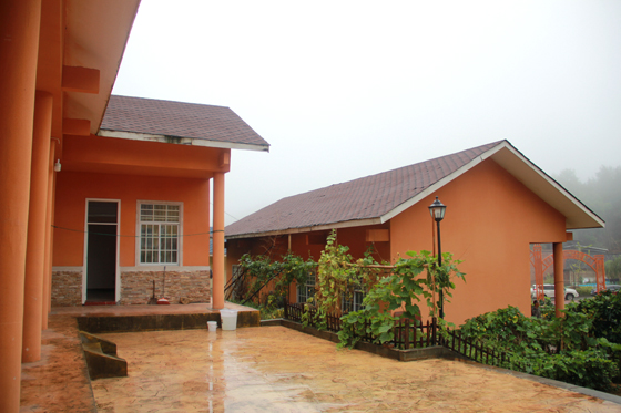 1598429731353885.jpg IMG_8622.JPG