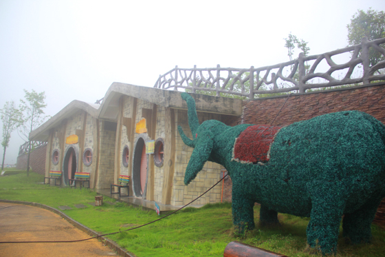 1598429748238583.jpg IMG_8631.JPG