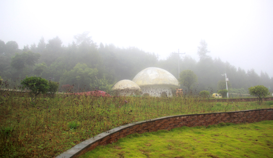 1598429780103472.jpg IMG_8637.JPG