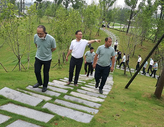 四川省廣安市前鋒區(qū)委書記米亮（前中）一邊走一邊向客商介紹情況  廣安市前鋒區(qū)委宣傳部供圖.jpg