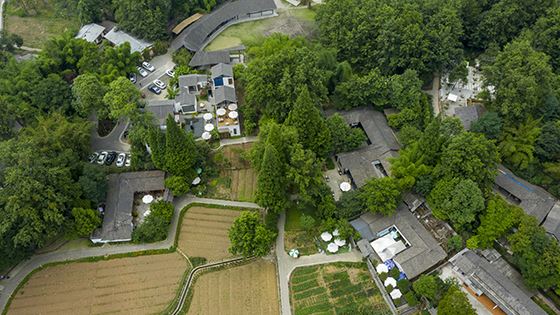 道明鎮(zhèn)竹藝村  張文洪 攝.jpg