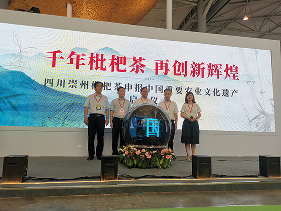 1 崇州枇杷茶申報(bào)中國(guó)重要農(nóng)業(yè)文化遺產(chǎn)啟動(dòng)儀式  周淼葭 攝.jpg