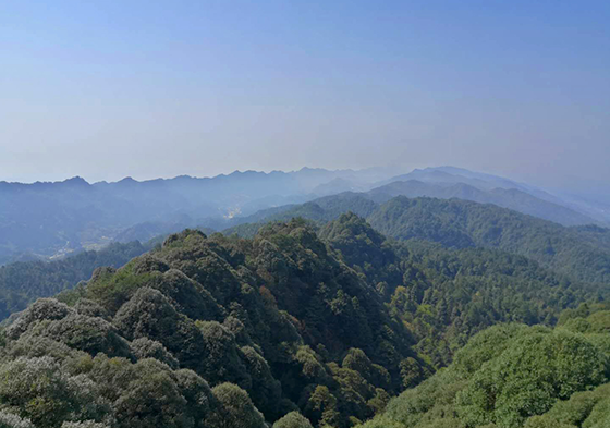 五華山風光  鄰水縣委宣傳部供圖.png