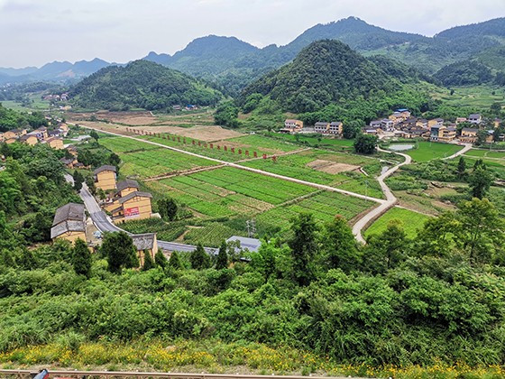 鄰水貴人槽農旅整合發(fā)展區(qū)  周淼葭 攝.jpg