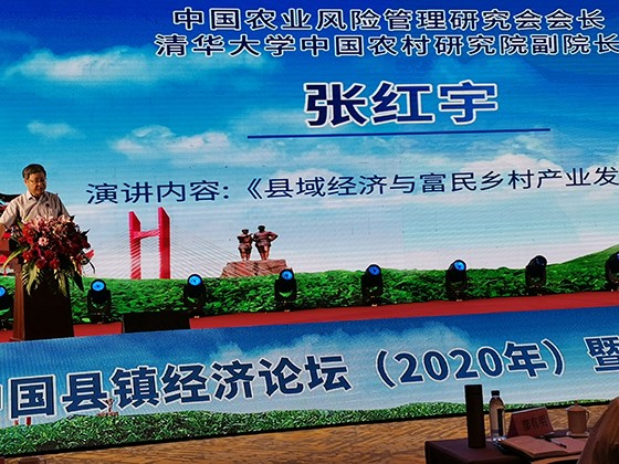 中國農業(yè)風險管理研究會會長、清華大學中國農村研究院副院長張紅宇演講.jpg