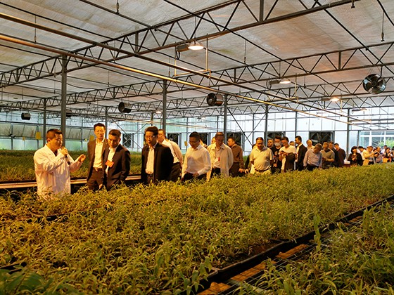11.與會人員考察渠縣植物組培工廠.jpg
