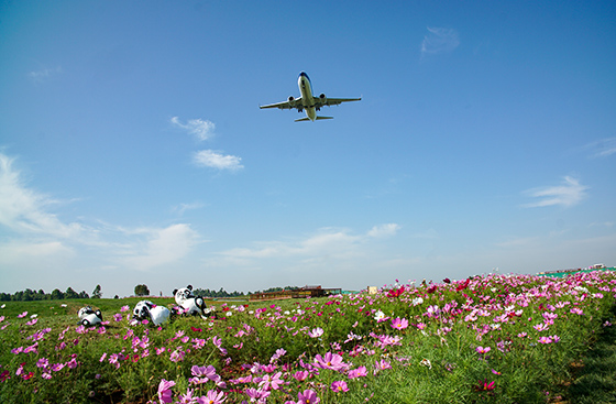 “空港花田”營(yíng)造出高光城市場(chǎng)景.jpg