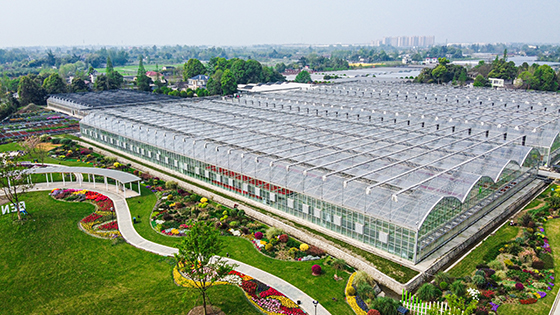 郫都區(qū)重點(diǎn)農(nóng)業(yè)企業(yè)-金品花卉.jpg