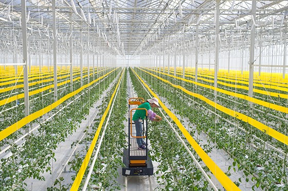 3 西南智慧農業(yè)項目內景.jpg